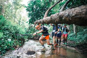 BIB: 
                            <button type="button" onclick="openModal(25371950)" class="btn btn-primary btn-sm float-right btn-popup" data-toggle="modal" data-target=".modal-high-quality">
                        <i class="fas fa-shopping-cart"></i> Add to Cart
                    </button>
                                            <button type="button" onclick="isThisMe(25371950, true)" class="btn btn-success btn-sm float-right btn-popup btn-isme hidden" data-toggle="tooltip" data-placement="bottom" title="นี่คือรูปของคุณใช่ไหม คลิกที่นี่เพื่อเอาเข้าอัลบั้ม">
                        <i class="fas fa-plus"></i> Add to album
                    </button>
                    <button type="button" onclick="isThisMe(25371950, false)" class="btn btn-warning btn-sm float-right btn-popup btn-isnotme hidden">
                        <i class="fas fa-ban"></i> Remove from album
                    </button>